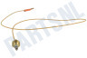 Ariston Fornuis 52986, C00052986 Thermokoppel van kookplaat