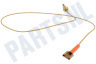Ariston Fornuis 52986, C00052986 Thermokoppel van kookplaat