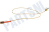Ariston Fornuis 52986, C00052986 Thermokoppel van kookplaat