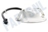 Etna Afzuigkap 873038 LED spot 1.5W 12V