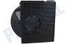 Ignis Afzuigkap Filter Koolstof 205x43x213mm