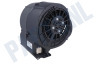 Faber Afzuigkap 133.0047.748 Motor Compleet, Cronos