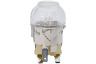 Faure FOP38901BK 949718325 03 Oven Lamp 